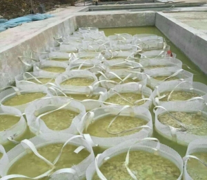 酸洗噸袋